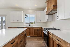 Kitchen featuring premium range hood, white cabinets, sink, hardwood / wood-style flooring, and stainless steel gas stove