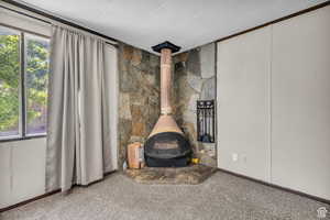 Details featuring carpet, a wood stove, and a textured ceiling