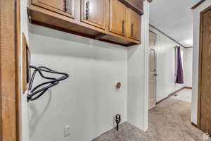 Laundry room with cabinets, light colored carpet, and ornamental molding