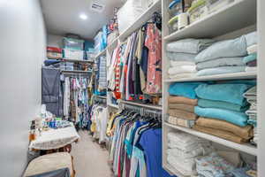 Primary Owner Spacious closet featuring carpet flooring