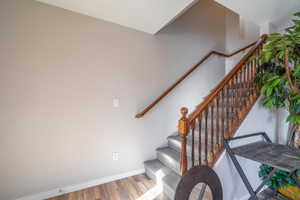 Staircase with wood-type flooring