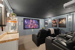 Cinema room featuring light carpet, a textured ceiling, and crown molding