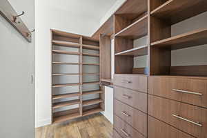 Spacious closet featuring light hardwood / wood-style flooring