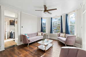 Living room featuring dark hardwood / wood-style flooring, ceiling fan, and crown molding