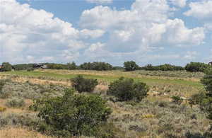 View of local wilderness with a rural view