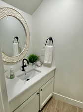 Bathroom with hardwood / wood-style floors and vanity