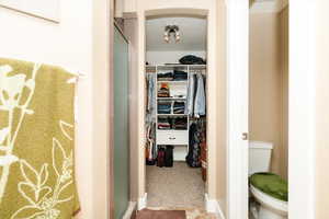 Walk in closet with carpet