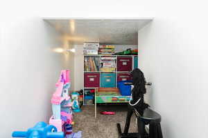 Recreation room featuring carpet and a textured ceiling