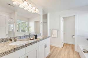 Bathroom featuring vanity, plus walk in shower, and wood-type flooring