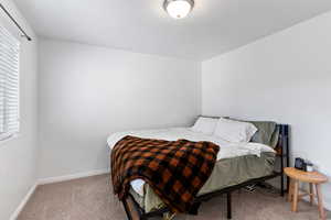 View of carpeted bedroom