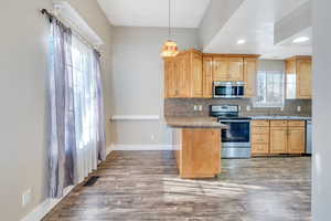 Kitchen featuring backsplash, hanging light fixtures, dark wood-type flooring, and appliances with stainless steel finishes