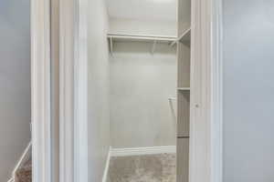 Walk in closet with carpet floors