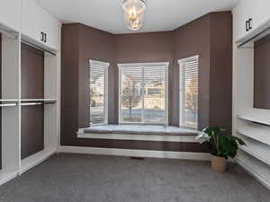 Walk in closet featuring dark colored carpet