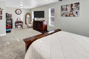 Bedroom featuring light colored carpet