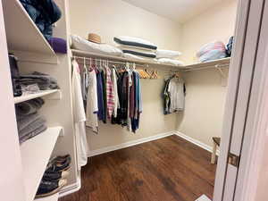 Spacious closet with hardwood / wood-style flooring