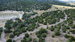 Birds eye view of property with a mountain view