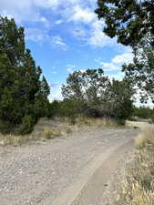 View of Road