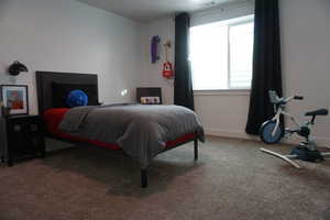 Bedroom with carpet floors