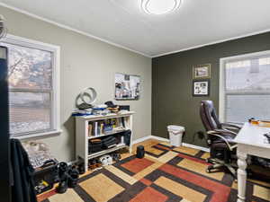 Carpeted office space featuring ornamental molding