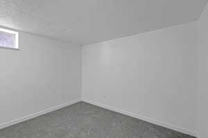 Empty room featuring carpet floors and a textured ceiling