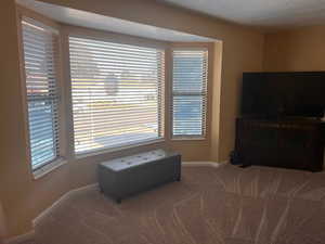 Living area with carpet flooring and a textured ceiling