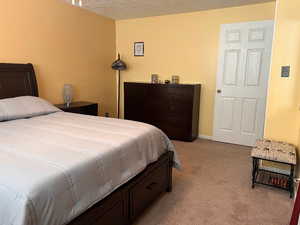 Master Carpeted bedroom with a textured ceiling