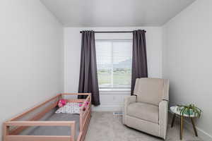 Bedroom with light colored carpet