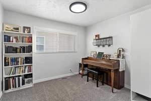 Miscellaneous room featuring carpet flooring and a textured ceiling