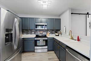 Kitchen with sink, stainless steel appliances, a barn door, light hardwood / wood-style flooring, and backsplash