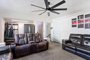 Carpeted living room with ceiling fan and crown molding