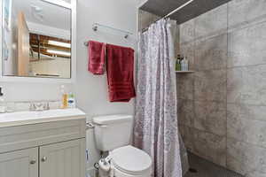 Bathroom featuring a shower with shower curtain, vanity, and toilet