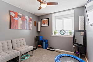 Rec room featuring carpet, ceiling fan, and a textured ceiling