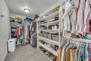 Walk in closet with light carpet