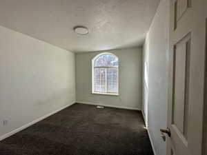 Carpeted empty room with a textured ceiling