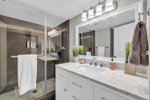 Basement Bathroom with walk-in shower