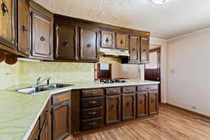 Kitchen with backsplash, dark brown cabinetry, crown molding, sink, and light hardwood / wood-style flooring