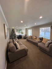 Carpeted living room with a textured ceiling, a healthy amount of sunlight, and crown molding