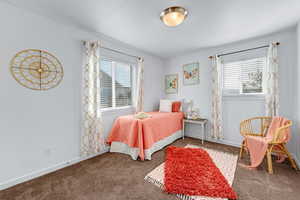 Carpeted bedroom with multiple windows