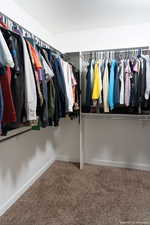 Spacious closet featuring carpet floors