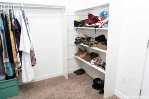 Walk in closet featuring carpet flooring