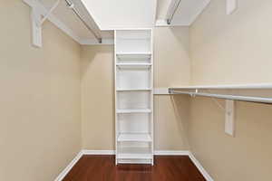 Walk in closet with hardwood / wood-style flooring