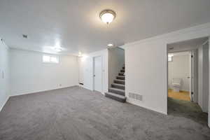 Basement with dark carpet and crown molding