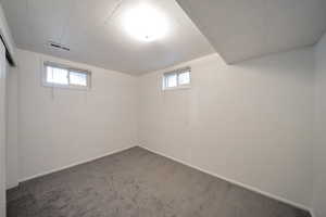 Basement with carpet flooring and plenty of natural light