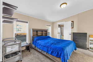 Carpeted bedroom featuring lofted ceiling and crown molding