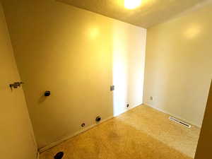 Laundry room with hookup for a gas dryer and carpet floors