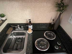 Room details featuring sink
