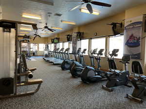 Workout area with carpet, a textured ceiling, and ceiling fan