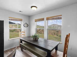 Dining space featuring a mountain view, light hardwood / wood-style floors, and a healthy amount of sunlight