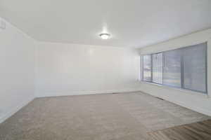 Room with carpet flooring and a textured ceiling