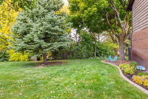 View of yard and flower beds